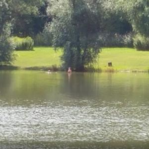 FFK Freibad Porstendorf