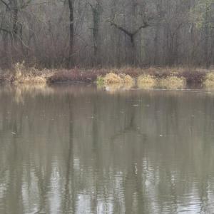 Outdoortreffen im Harz und Umgebung