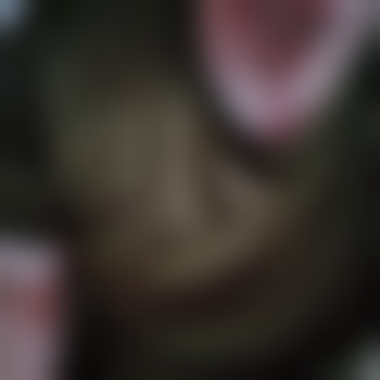 Wixen-