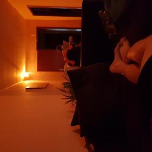 bremervörder-hengst