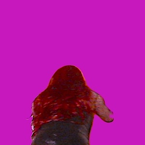 TvSandy-2719