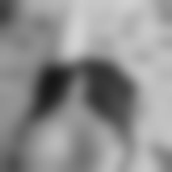 Lotusblume-2456