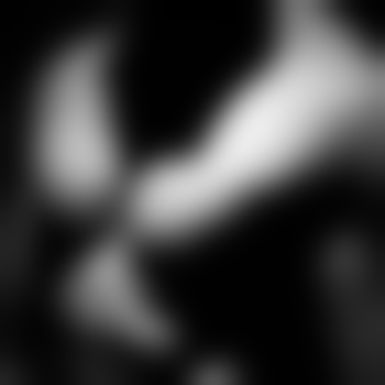 Max_81