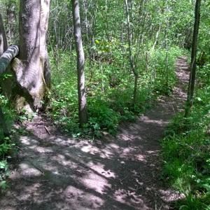 Ismaning-Garching, nackt spazieren und ....