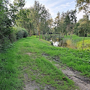 Hinter Wohnwagen Bruns