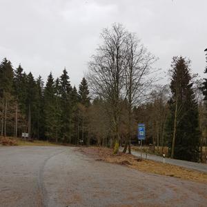 Großes Bildchen