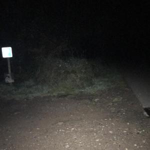 Parkplatz Rötenbach Sägewerk