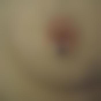 Guido_leckt