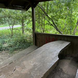 Hollich / Ahlintel Wald