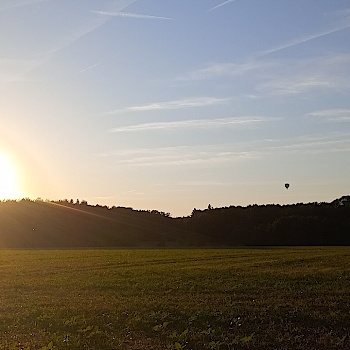 bock_09
