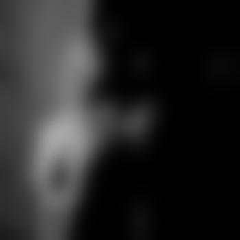 MrGrey-8513