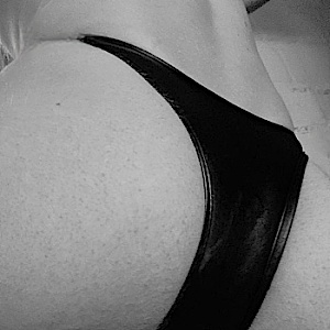 The-Stallion-wild