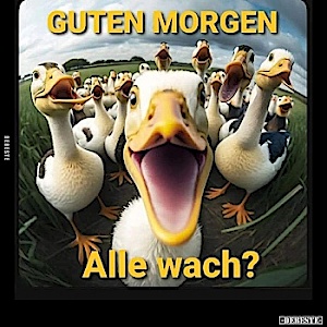 BlowiVoerde