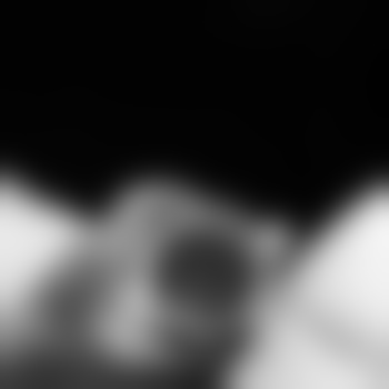 the_fly_01