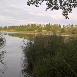Sollnitzer See - Sollnitz -im wasser und am strand