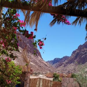 Kennenlernen und Treffen-Salzlandkreis und Um