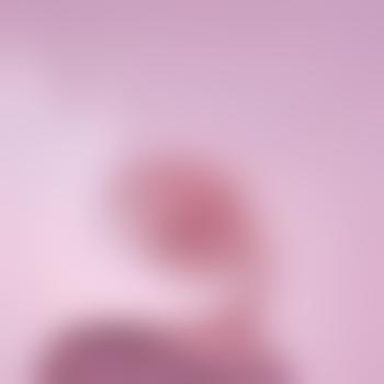 plopipop