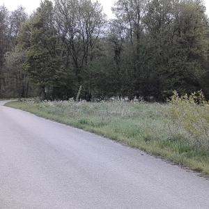 Wanderparkplatz zwischen schlat und süssen