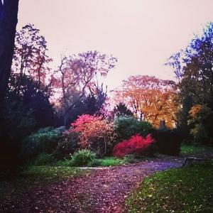 Bochum Kortumpark