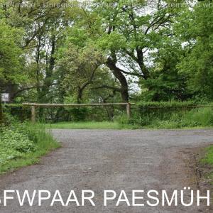 Paesmühle in Straelen im Wald