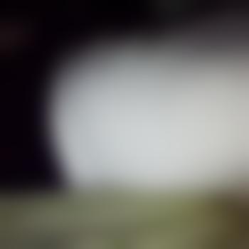 Nils55948