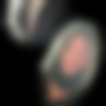 SHKdevotCD