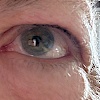Michael---666666