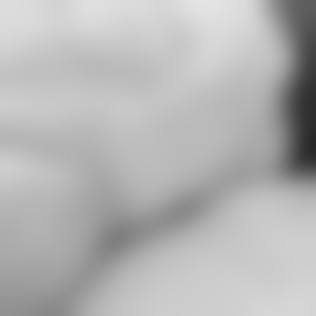 biblis690655