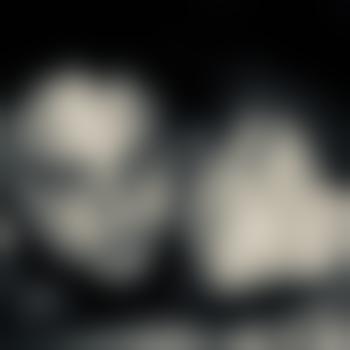 Niki1408