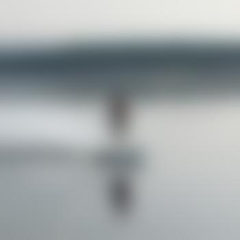 Phantom48001