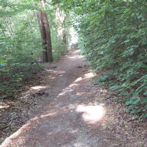 B 401 Parkplatz Dörpen Nord