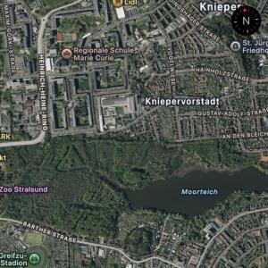 Stralsund - Stadtwald (Moorteich)