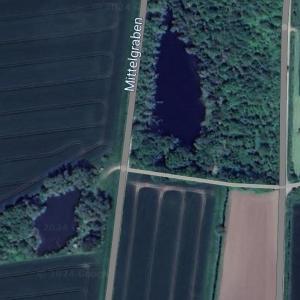 Kleiner See im Wald