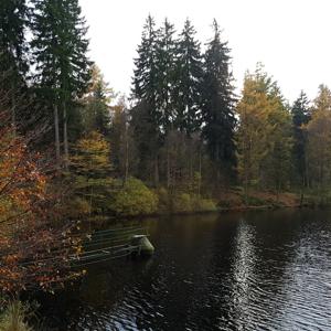 PP  Neuer Teich zwischen Uslar und Dassel