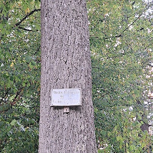 Metzingen Maienwald