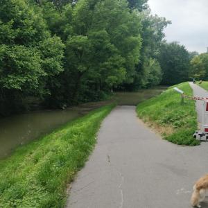 Waldpark Mannheim