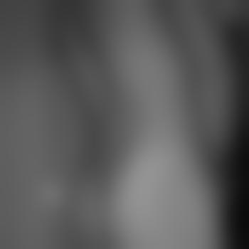 Guenther02