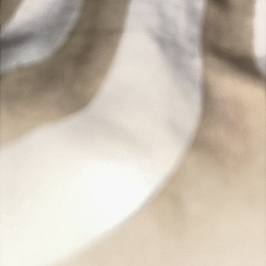 sebastianplock