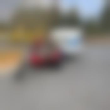 Gizmo-Fallen-Angel66