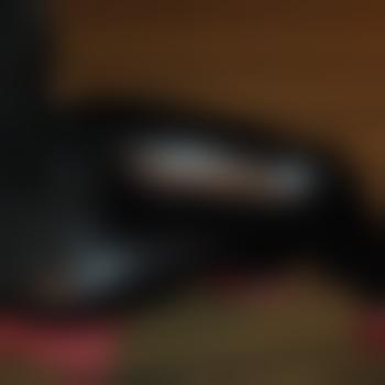 TSandraMG