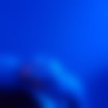 Nosypair216