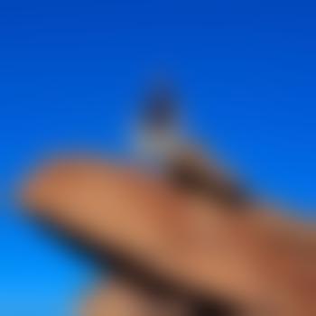 RoccoSafredie