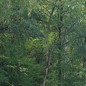 Pendlerparkplatz Altdorf