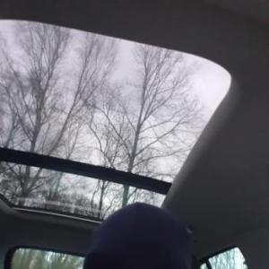 willy_27
