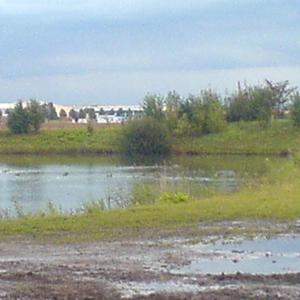 Regenrückhaltebecken in Queis Industiegebiet