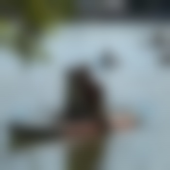 Dragon86