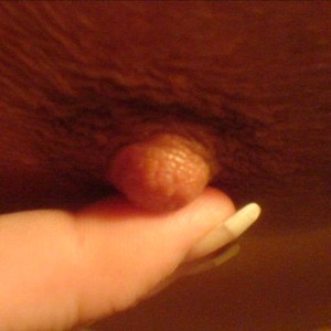 big_hot