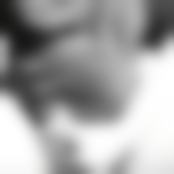 Drei_Loch_Lust