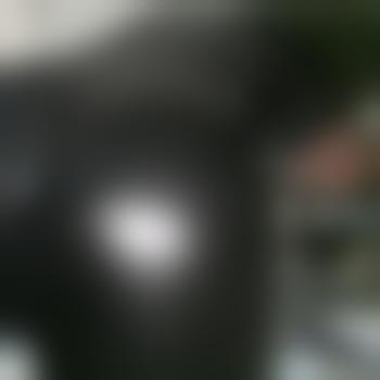 Slesch1977