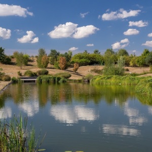 Am Henselgraben,Neuss-Allerheiligen(Rosellen)